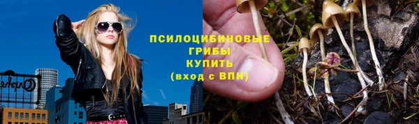 соль ск Дмитровск