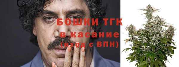мет Елабуга