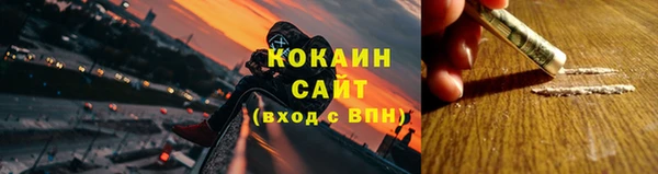 мет Ельня