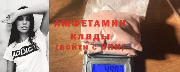 индика Дмитриев