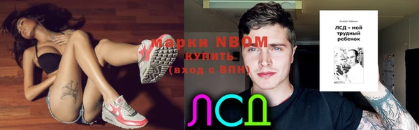 мет Ельня
