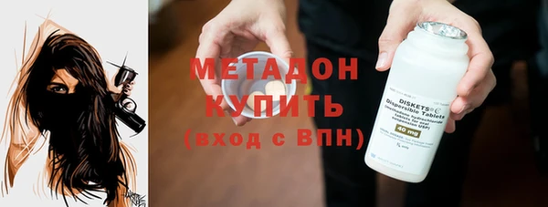 индика Дмитриев