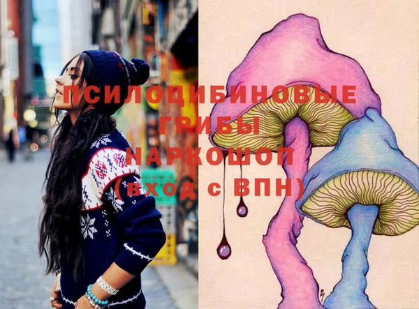 ешки Осинники