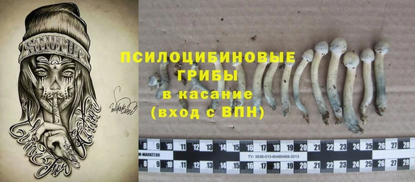 ешки Осинники